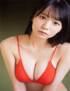 决战燕子门
